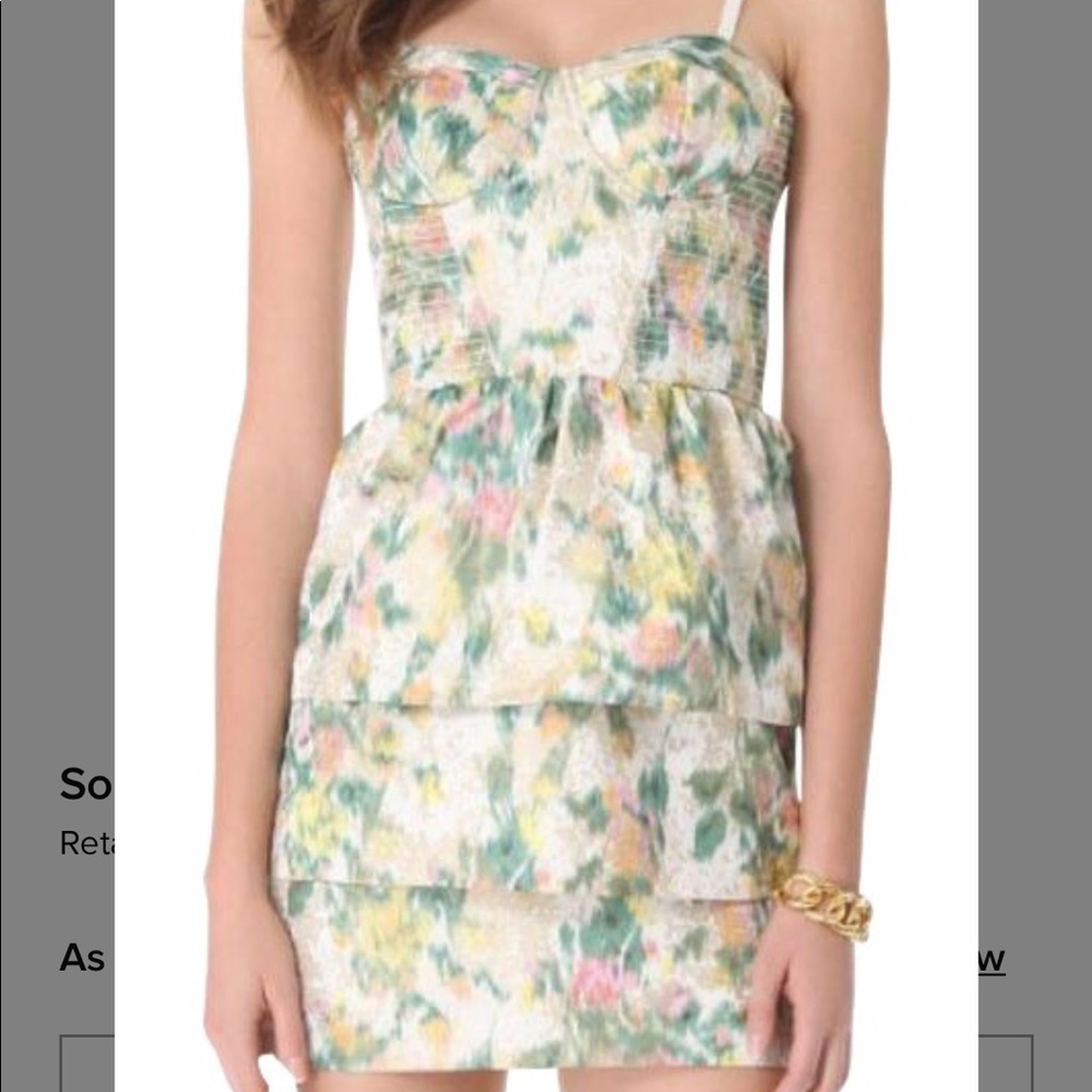 Alice + Olivia strapless  floral bustier dress